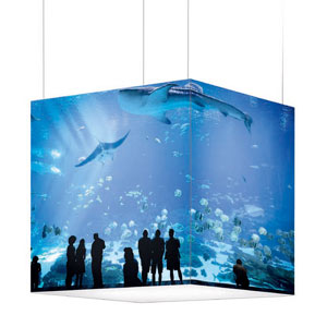 LED,Octalumina