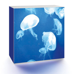 LED,Octalumina